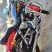 Harley Davidson Custo.