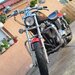 Harley Davidson Custo.