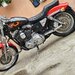 Harley Davidson Custo.