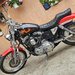 Harley Davidson Custo.